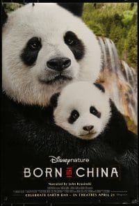 1z407 BORN IN CHINA advance DS 1sh 2017 Walt Disney, wonderful close-up of Panda bears!