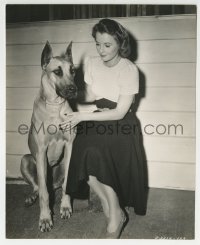 2a161 BARBARA STANWYCK 7.75x9.5 still 1930s with huge prize winning Great Dane by Richardson!