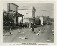 2a197 BIRDS 8.25x10 still 1963 Rod Taylor & Hedren on street covered w/ dead birds, deleted scene!