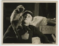 2a999 ZOO IN BUDAPEST candid 8x10.25 still 1933 Gene Raymond on set with monkey on his shoulder!