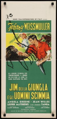 2b504 JUNGLE JIM IN THE FORBIDDEN LAND Italian locandina 1959 Weissmuller & Tamba, different!