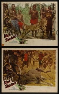 2h509 BLACK SHADOWS 5 LCs 1949 African jungle, cool artwork of giant ape & tribal dancing!