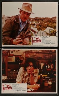 2h076 CANNERY ROW 8 LCs 1982 Nick Nolte, Debra Winger, from the novel by John Steinbeck!
