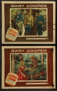 2h593 DISTANT DRUMS 4 LCs 1951 Gary Cooper in the Florida Everglades, directed by Raoul Walsh!