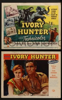 2h197 IVORY HUNTER 8 LCs 1952 Ealing Studios, many different images of African jungle animals!