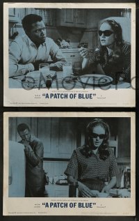 2h267 PATCH OF BLUE 8 LCs 1966 Sidney Poitier & Elizabeth Hartman are captive in their own world!