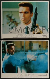 2h291 RED HEAT 8 LCs 1988 Walter Hill, great images of cops Arnold Schwarzenegger & James Belushi!