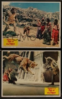 2h334 SINBAD & THE EYE OF THE TIGER 8 LCs 1977 Patrick Wayne, Taryn Power, Jane Seymour, fantasy!
