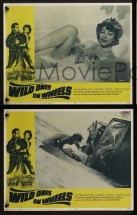 2h417 WILD ONES ON WHEELS 8 LCs 1967 Francine York, cool drag race car border art and racing images!