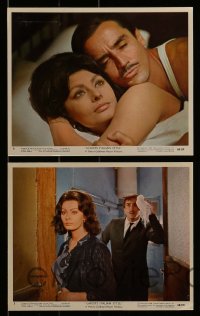 2m122 GHOSTS - ITALIAN STYLE 7 color 8x10 stills 1968 sexy Sophia Loren, Vittorio Gassman!