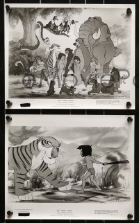 2m623 JUNGLE BOOK 8 8x10 stills 1967 Disney, great cartoon images of Mowgli & his friends!