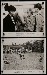 2m827 RIDE A WILD PONY 5 8x10 stills 1976 Walt Disney, cool images of boy, horse and train!