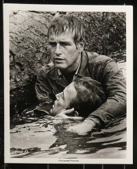 2m223 SOMETIMES A GREAT NOTION 21 from 7.5x9.5 to 8x10 stills 1971 great images of Paul Newman!