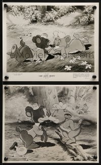 2x787 JIMINY CRICKET PRESENTS BONGO 2 TV 8.25x10 stills 1955Walt Disney's Wonderful World of Color!