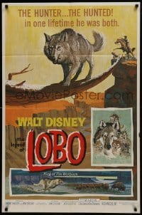 2x299 LEGEND OF LOBO 1sh 1963 Walt Disney, King of the Wolfpack, cool artwork of wolf being hunted!