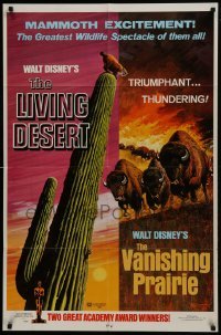 2x302 LIVING DESERT/VANISHING PRAIRIE 1sh 1971 art from Walt Disney wildlife double-bill!