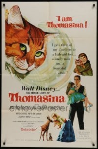 2x363 THREE LIVES OF THOMASINA 1sh 1964 Walt Disney, great art of winking & smiling cat!