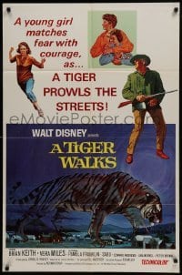 2x364 TIGER WALKS style A 1sh 1964 Walt Disney, art of Brian Keith standing & huge prowling big cat!