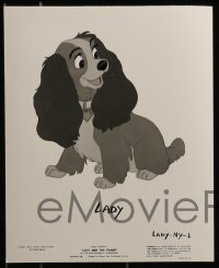 2x729 LADY & THE TRAMP 10 8x10 stills 1955 Disney, character portraits and scenes from the movie!