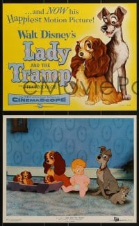 2x760 LADY & THE TRAMP 4 color 8x10 stills 1955 Disney classic canine dog cartoon, includes tc image!