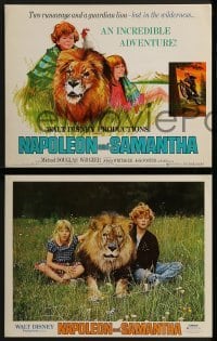 2x492 NAPOLEON & SAMANTHA 8 LCs 1972 Michael Douglas, Jodie Foster & Johnny Whitaker & lion!