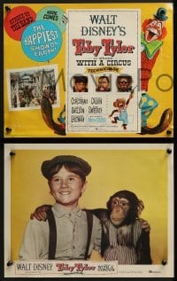 2x515 TOBY TYLER 8 LCs 1960 Walt Disney, Kevin Corcoran, Mister Stubbs the chimpanzee, circus!