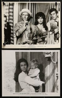 3d592 BARBARA LUNA 6 from 7x9 to 8x10.25 stills 1960s the star from a variety of roles!