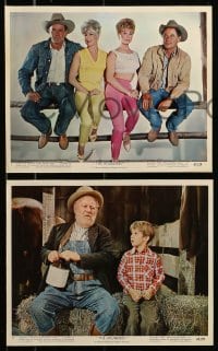 3d070 ROUNDERS 8 color 8x10 stills 1965 Glenn Ford, Henry Fonda, sexy Sue Ane Langdon & Holiday!