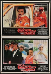 3f133 CANNONBALL RUN group of 10 Italian 19x27 pbustas 1981 Burt Reynolds, Farrah Fawcett!