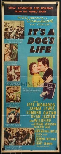3j190 IT'S A DOG'S LIFE insert 1955 cool images with Wildfire the Bull Terrier wonder!