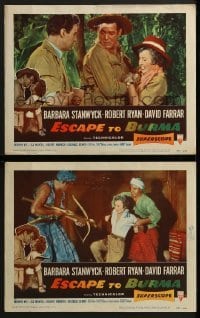3r931 ESCAPE TO BURMA 2 LCs 1955 Robert Ryan & Barbara Stanwyck in the jungle!