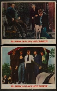 3r960 MRS BROWN YOU'VE GOT A LOVELY DAUGHTER 2 LCs 1968 Peter Noone, Herman's Hermits!