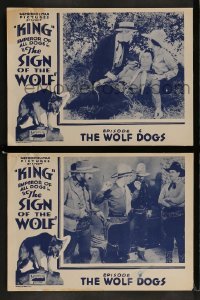 3r978 SIGN OF THE WOLF 2 chapter 6 LCs 1931 serial from Jack London's story, The Wolf Dogs!