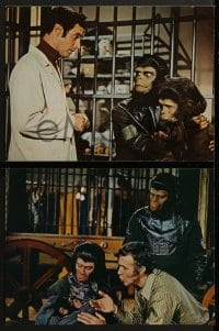 3r508 ESCAPE FROM THE PLANET OF THE APES 6 color 10.5x14 stills 1971 meet Baby Milo who has Washington terrified!
