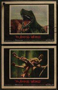 3r780 ANIMAL WORLD 3 LCs 1956 directed by Irwin Allen, dinosaurs animated by Harryhausen/O'Brien!