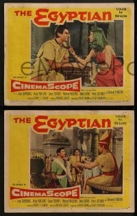 3r804 EGYPTIAN 3 LCs 1954 great images of Edmund Purdom, Victor Mature, Michael Wilding!