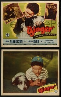 3r136 GINGER 8 LCs 1947 Frank Albertson & Barbara Reed in the story of a dog!