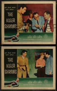 3r719 KILLER SHREWS 4 LCs 1959 Ingrid Goude, James Best, includes great monster scene!