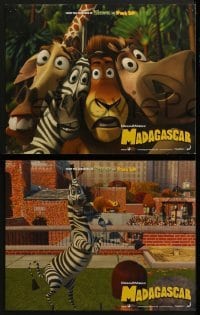 3r199 MADAGASCAR 8 LCs 2005 voices of Ben Stiller, Chris Rock, David Schwimmer, wacky images!