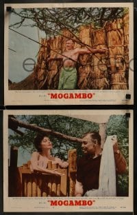 3r726 MOGAMBO 4 LCs 1953 Clark Gable, Grace Kelly & Ava Gardner in Africa!