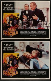3r451 OLD DRACULA 7 LCs 1975 Vampira, David Niven as Dracula, Clive Donner, wacky horror border art!