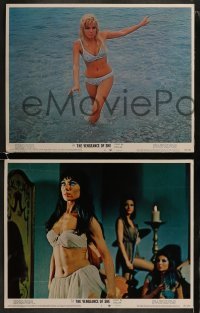 3r869 VENGEANCE OF SHE 3 LCs 1968 Hammer fantasy, super sexy Olinka Berova!