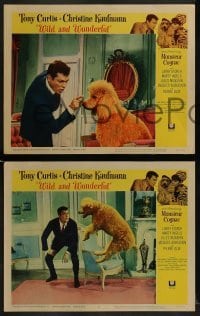3r483 WILD & WONDERFUL 7 LCs 1964 wacky images of Tony Curtis, Christine Kaufmann, & Monsieur Cognac!