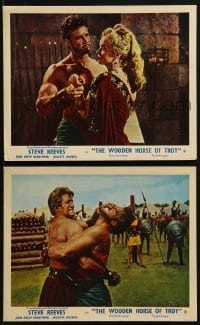 4a164 TROJAN HORSE 2 color English FOH LCs 1962 mighty Steve Reeves in a surging spectacle of savagery!