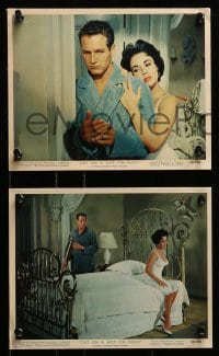 4a035 CAT ON A HOT TIN ROOF 11 color 8x10 stills 1958 big Burl Ives looks at Jack Carson picking up papers