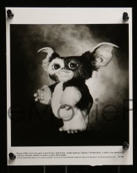 4a257 GREMLINS 2 12 8x10 stills 1990 wacky horror images, Phoebe Cates, Keye Luke, Gizmo!