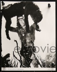4a268 GREYSTOKE 11 8x10 stills 1984 Christopher Lambert as Tarzan, Andie MacDowell!