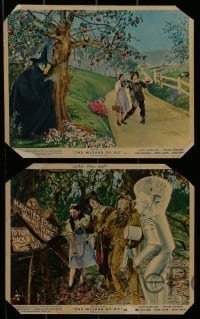 4a108 WIZARD OF OZ 8 color English FOH LCs R1955 Judy Garland in MGM's entertainment of 1000 delights, ultra rare!