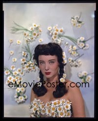 4d101 CAROLYN JONES color 8x10 negative 1950s sexy portrait in dress made of daisies & pigtails!