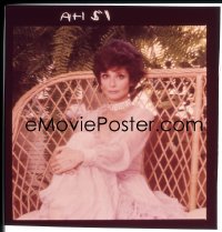 4d303 BLOODLINE group of 5 2x3 transparencies 1979 all seated portraits of ageless Audrey Hepburn!